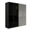 Meubella - Kledingkast Shelton - Grijs - 202 cm - Met glas