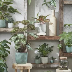 Mica Decorations - Plantenpot - Keramiek wit - 12 x 11 cm