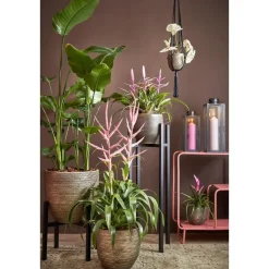 Mica Decorations Arzilla Lantaarn - L13,5 x B13 x H34,5 cm - Zwart