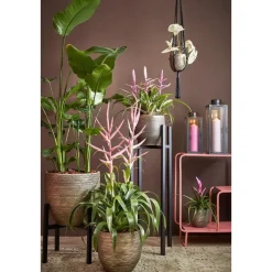 Mica Decorations Arzilla Lantaarn - L13,5 x B13 x H34,5 cm - Zwart