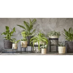 Mica Decorations Bloempot - rotan - zwart - jute - 20 x 20 cm