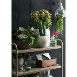 Mica Decorations Bloempot - glanzend groen - keramiek - 20 x 18 cm