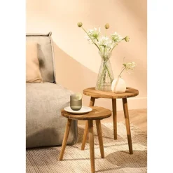 Mica Decorations Bold Bijzettafel - Ø33 cm - Gerecycled Hout - Bruin