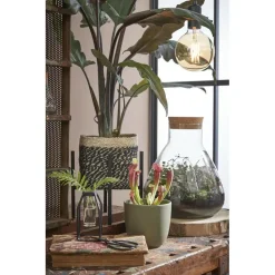 Mica Decorations Bonaparte Mand voor Planten Ø20 cm