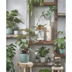 Mica Decorations Daan Bloempot - H17,5 x Ø19 cm - Groen