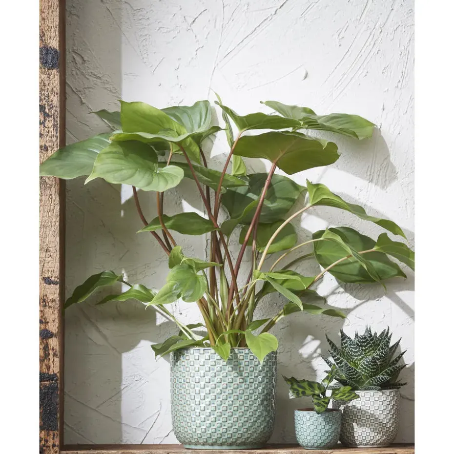 Mica Decorations Daan Bloempot - H17,5 x Ø19 cm - Groen