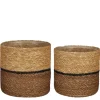 Mica Decorations Damian Plantenmand - Set van 2 - Ø20 cm - Zeegras