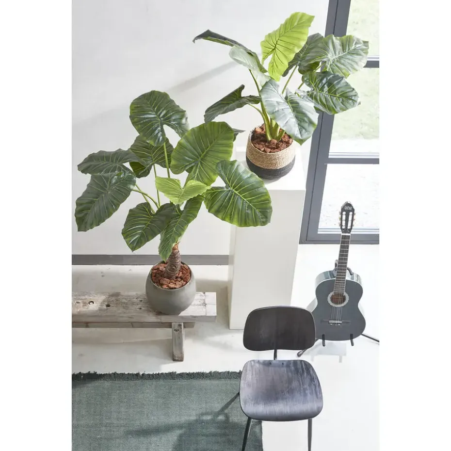 Mica Decorations Jorck Mand voor Planten - Set van 3 - Zwart