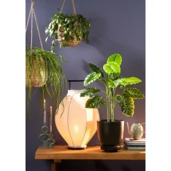 Mica Decorations Planten/bloempot Tusca - Zwart - D28/H25 cm