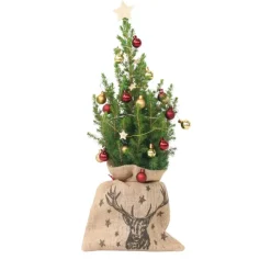 Mini-kerstboom met juten zak - Picea glauca ‘Conica’ - Hoogte 55-65cm - ⌀15cm