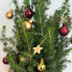 Mini-kerstboom met juten zak - Picea glauca ‘Conica’ - Hoogte 55-65cm - ⌀15cm