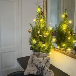 Mini-kerstboom met juten zak - Picea glauca ‘Conica’ - Hoogte 55-65cm - ⌀15cm