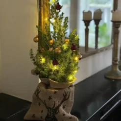 Mini-kerstboom met juten zak - Picea glauca ‘Conica’ - Hoogte 55-65cm - ⌀15cm