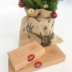 Mini-kerstboom met juten zak - Picea glauca ‘Conica’ - Hoogte 55-65cm - ⌀15cm