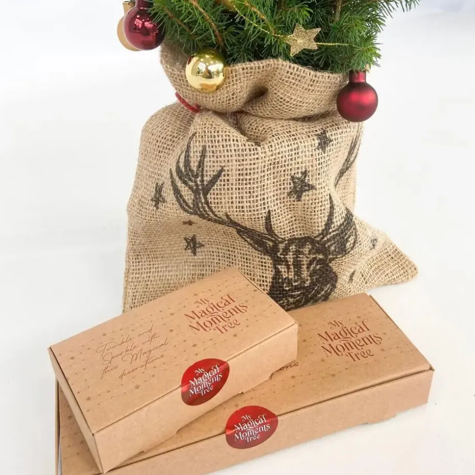 Mini-kerstboom met juten zak - Picea glauca ‘Conica’ - Hoogte 55-65cm - ⌀15cm