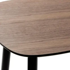 MISOU Bijzettafel Set van 2 - Bruin