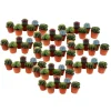 Mix cactus - Set van 60 - Cactus - Hoogte 5-10cm - ⌀5,5cm