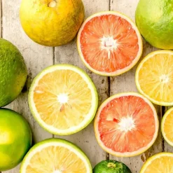 Mix fruitbomen - Set van 3 - Citrus limon - Hoogte 25-40cm - ⌀9cm