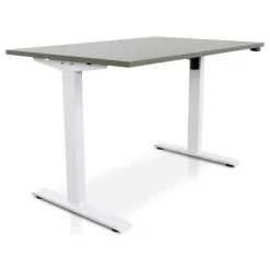 MRC EASY Zit-Sta Bureau – Elektrisch Verstelbaar – 120x80 cm – Blad Forest Green