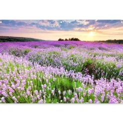 MuchoWow Tuinposter 120x80cm Bloemen Lavendel Paars Lucht