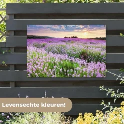 MuchoWow Tuinposter 120x80cm Bloemen Lavendel Paars Lucht