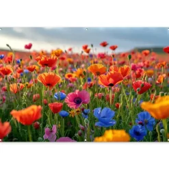 MuchoWow Tuinposter 180x120cm Bloemen Klaprozen Kleurrijk