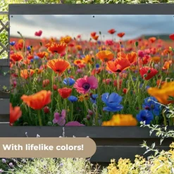 MuchoWow Tuinposter 180x120cm Bloemen Klaprozen Kleurrijk