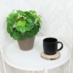 OTIX Koffiekopjes Theemokken Koffietassen Set van 6 Zwart 310 ml Aardewerk