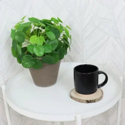 OTIX Koffiekopjes Theemokken Koffietassen Set van 12 Zwart 310 ml Aardewerk