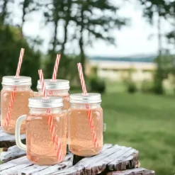 OTIX Mason jar Drinkbeker met Rietje Set van 4 Zilvere dop 450 ml