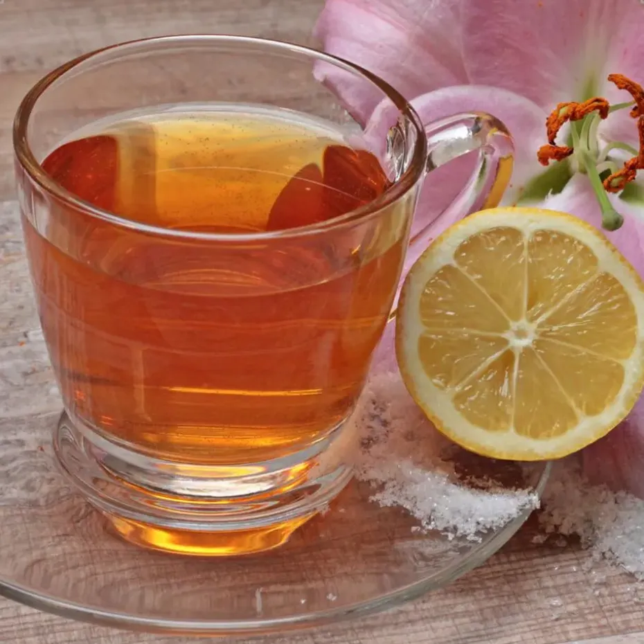 OTIX Theeglazen 6 stuks met 4 Theezakjeshouders Porcelein 350 ml Glas