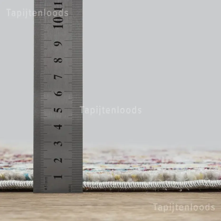 Picasso Keshan Vintage Vloerkleed Multi / Beige Laagpolig - 160x230 CM