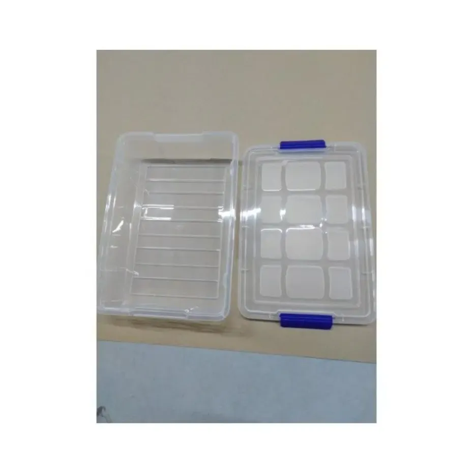 PlasticForte Opbergbox met deksel - 5L - 26 x 40 x 8,5 cm