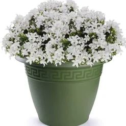 PlasticForte Plantenpot - donkergroen - 50x40 cm - kunststof