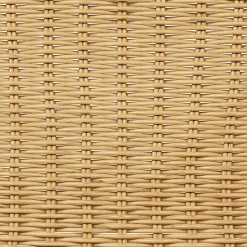 PRASIMO - Tuinstoel set van 2 - Naturel - PE Rotan