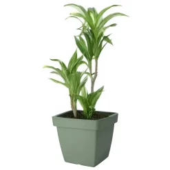 Pro Garden Plantenpot - groen - D39 x H35 cm - kunststof