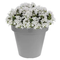 Prosperplast Bloempot - D50 x H42 cm - lichtgrijs - kunststof