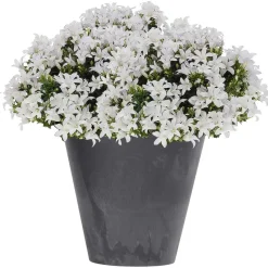 Prosperplast plantenpot - kunststof - antraciet - D40 x H37 cm