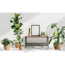 Prosperplast Plantenpot Buckingham - antraciet - D39 cm