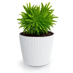 Prosperplast Plantenpot Buckingham - ivoor wit - D39 cm