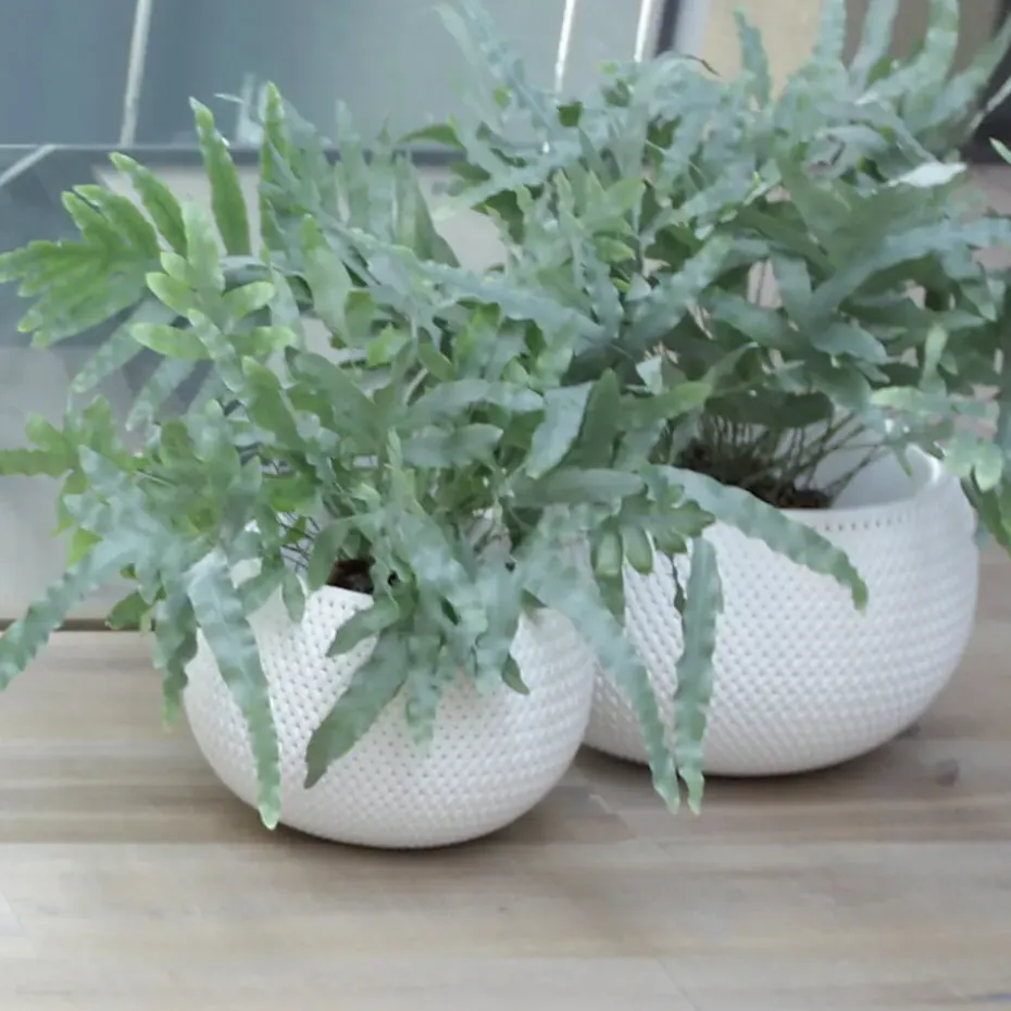 Prosperplast Tuin bloempotSplofy - taupe - D18 x H16 cm