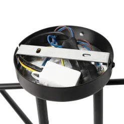 Qazqa plafondlampen sydney zwart e27