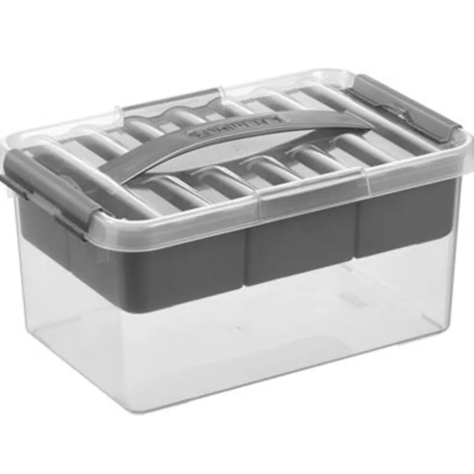 Q-line opbergbox met inzet 6L transparant metaal