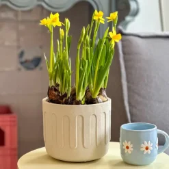 QUVIO Bloempot - Drips - Beton - Beige