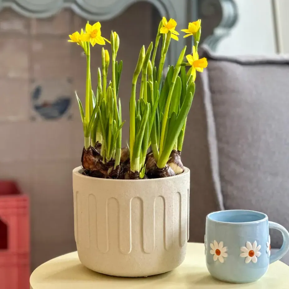 QUVIO Bloempot - Drips - Beton - Beige