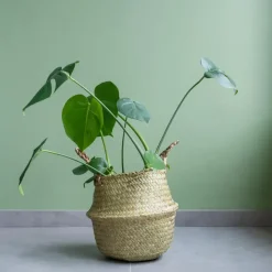 QUVIO Bloempot gevlochten rond met handvaten - M