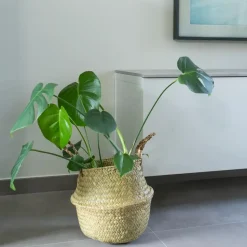 QUVIO Bloempot gevlochten rond met handvaten - M