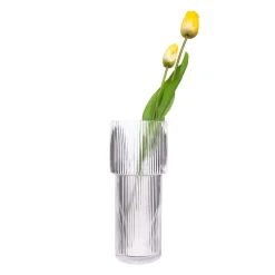 QUVIO Cilinder vaas - Smal - Glas - 24,5 cm - Transparant