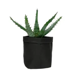 QUVIO Plantenzak uitwasbaar 9x9x15cm - Zwart