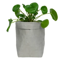 QUVIO Plantenzak uitwasbaar 10x10x20cm - Grijs